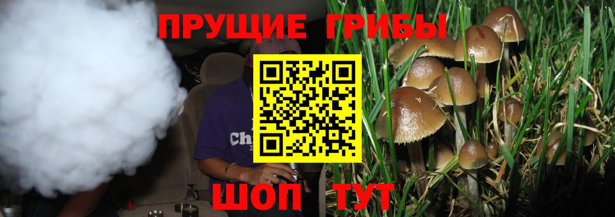 где купить наркотик  Галлюциногенные грибы мухоморы  Шахты  Вход с VPN  Псилоцибиновые грибы прущие грибы 